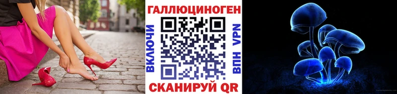 Псилоцибиновые грибы Psilocybe Цивильск